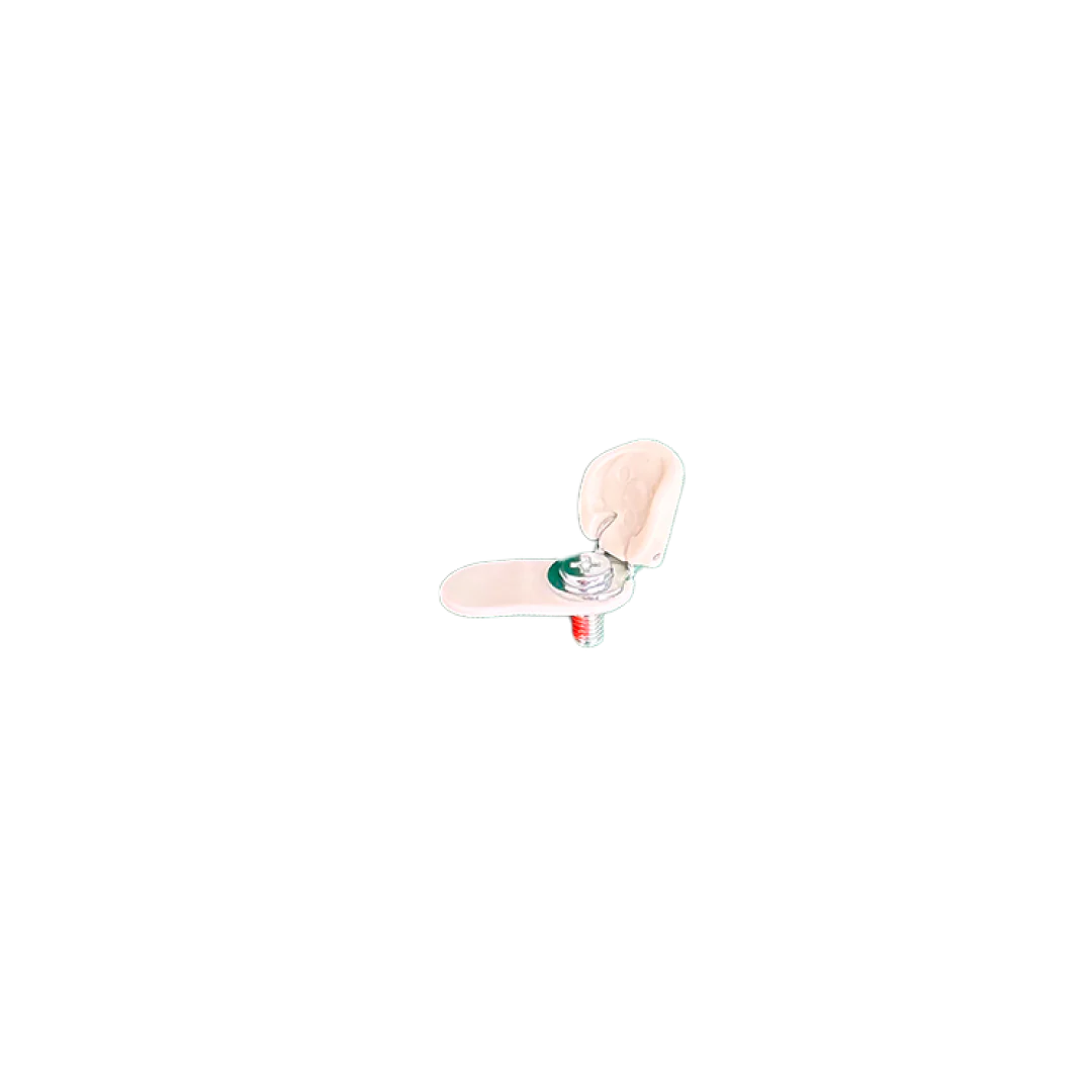 Ankle length adjustment screw